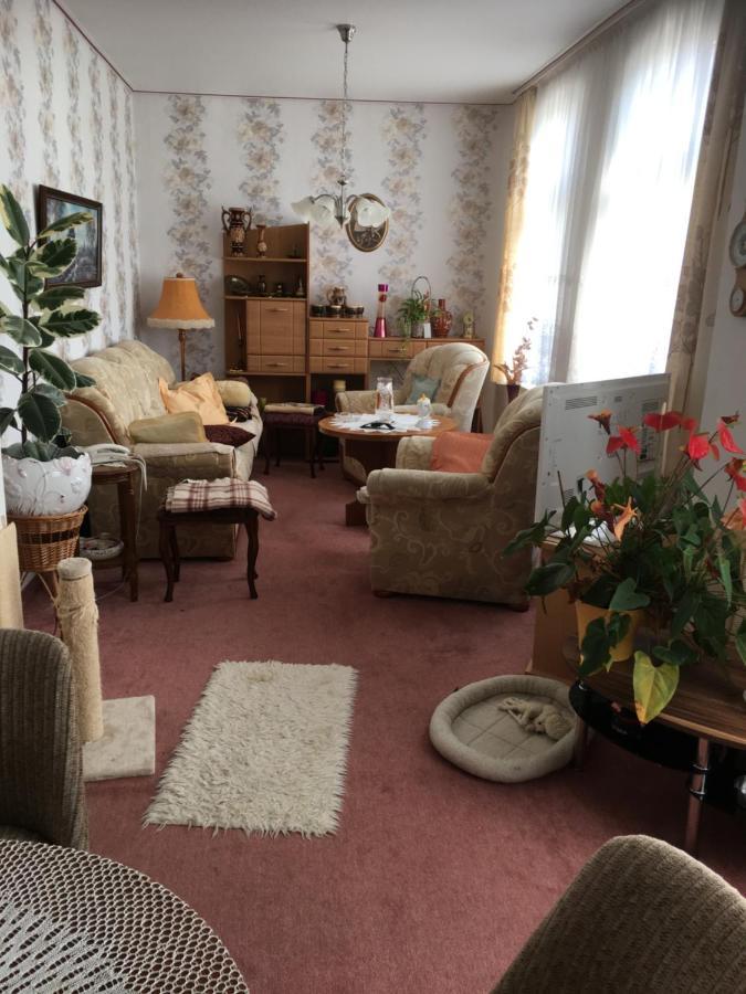 Ferienwohnung Bunte Stadt An Der Elde Grabow  Eksteriør bilde